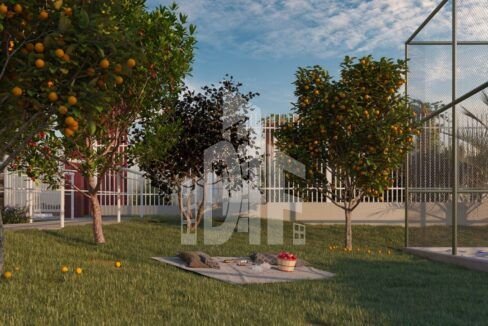 WhatsApp Image 2022-08-16 at 13.34.15 (14)