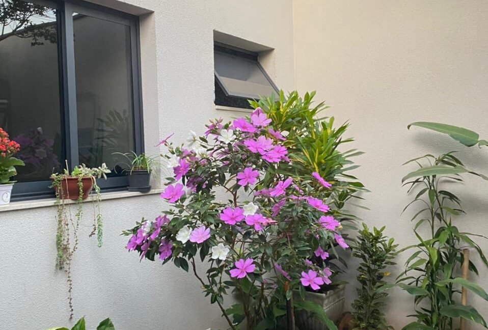 9ec7f5d5-9367-4aef-af8e-09dbf3ea2cfa