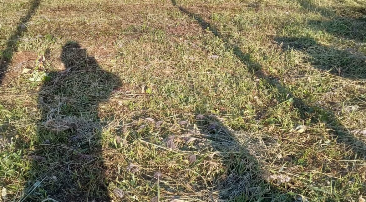 dcc2eb63-07bb-43c3-ae5f-56518ac9a860