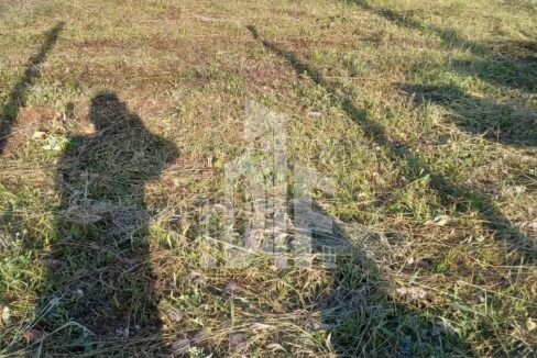 dcc2eb63-07bb-43c3-ae5f-56518ac9a860