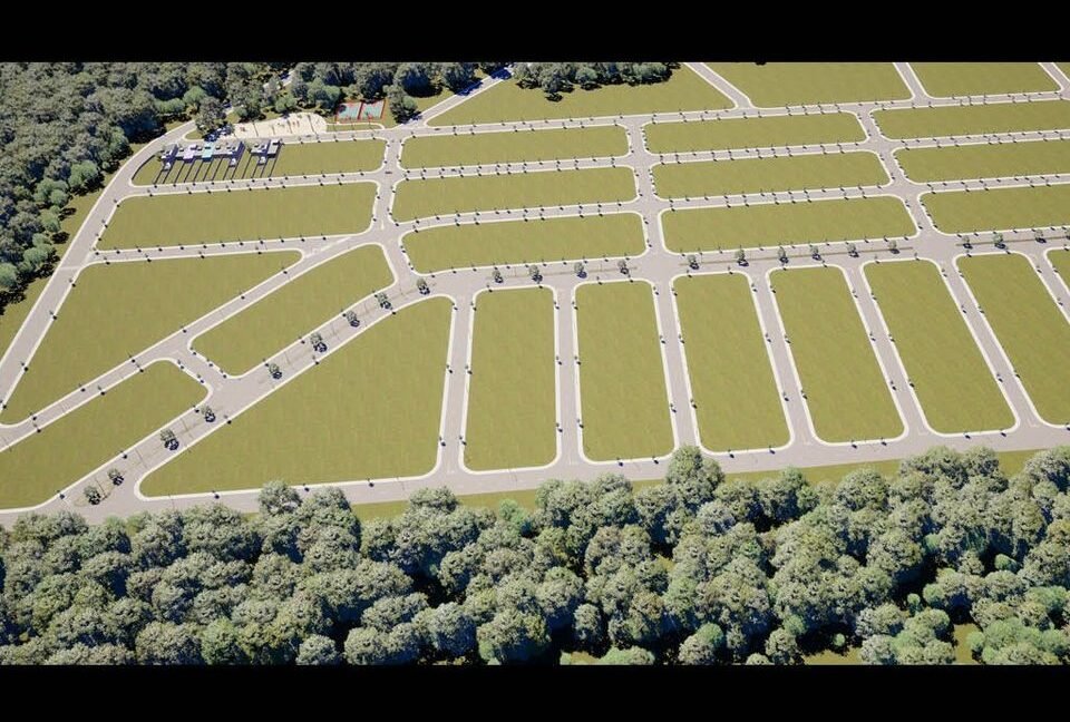 428087212_784143943670530_1197929870926255838_n