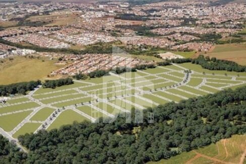 436586225_1141147053978707_763924939411016438_n