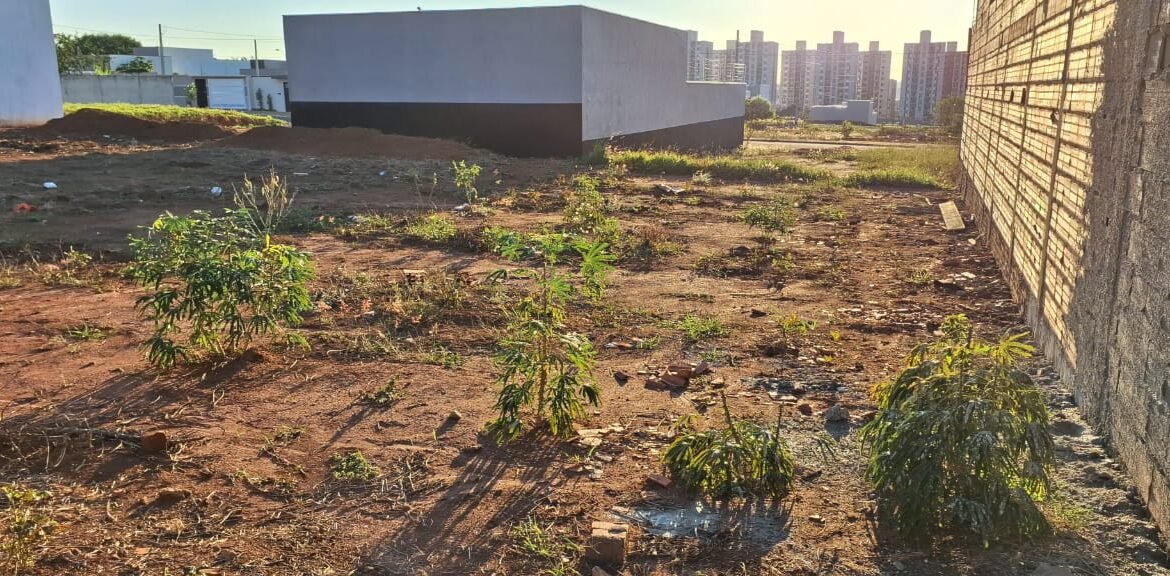 3560dd9b-3873-406d-a715-54414c23da88